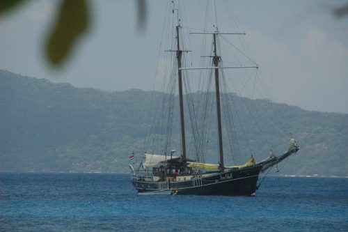 SeaShell, Seychelles
